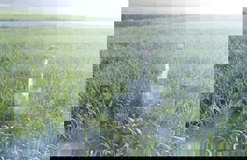 民生服务进基层--“无人机助农”