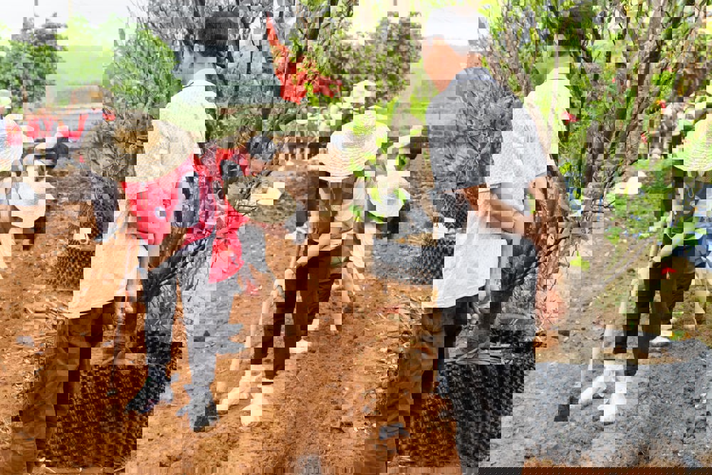 以耕耘育匠心，以实践促五育融合|我校开展“春种一粒粟，心收五育花” 花生种植劳动实践活动