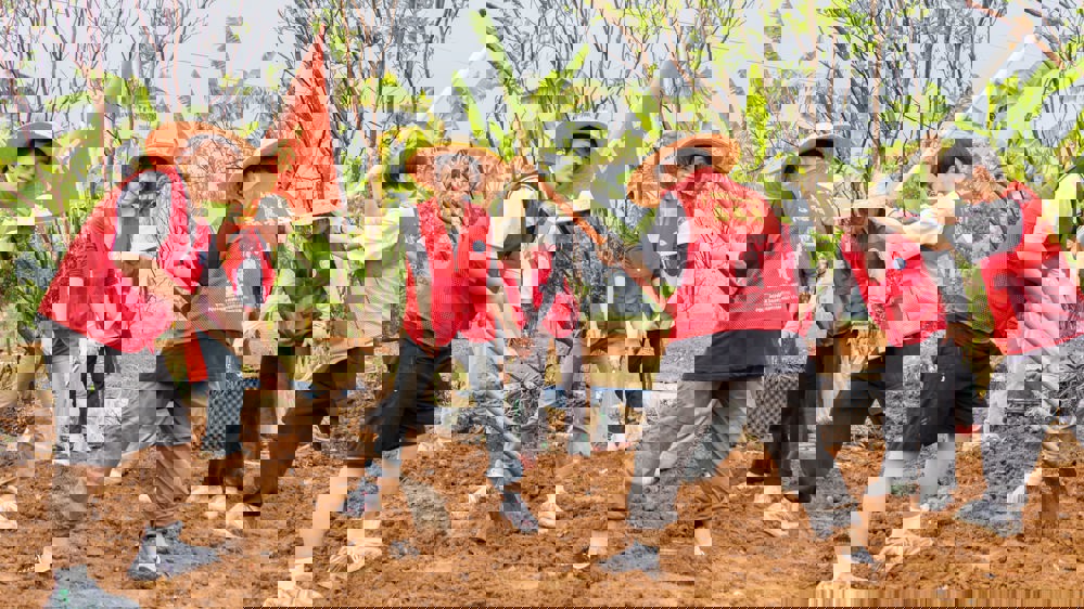 同学们协作种地